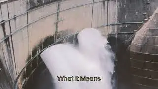 The Science of Roller Coasters: Forces and Motion English Lesson