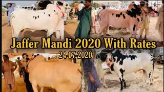 Jaffer Mandi 2020 With Rates || 24-07-2020 || Kohat Road, Fatehjang || Friday ||