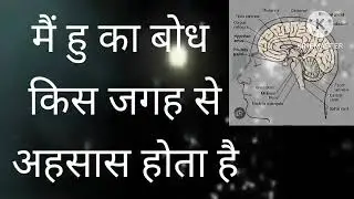  मैं हु का बोध किस जगह से अहसास होता है ।।@aparokshanubhuti.ratishanand 23 December 2025