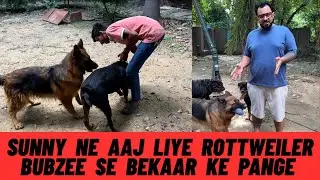 Sunny Ne Aaj Liye Rottweiler Bubzee Se Bohot Bada Panga 