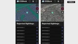 New app alerts users when immigration agents are nearby