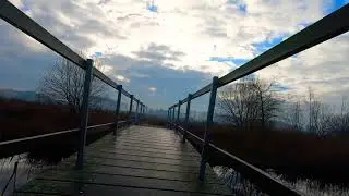 MTB Ride omgeving Tungelroy Weert 10-1-2021