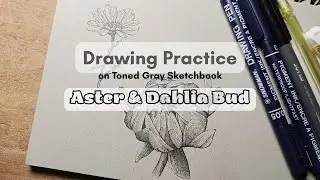 drawing aster and dahlia bud on my toned gray sketchbook / night sketching practice