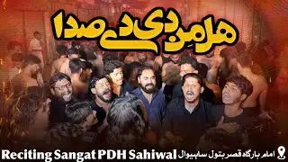 Halmin Di De Sada | PDH | Sahiwal Azadari | 6 Muharam | Jhola Shehzada Ali Asghar | Sahiwal | Jaloos