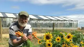 131. Paper Batteries, Rice, Smallholders and the Empire attempts to Strike Back |...