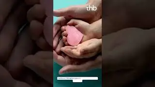 THB M&eacute;xico