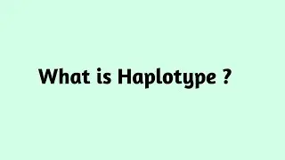 What is Haplotype ?