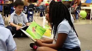 Knowledge Building in Kindergarten