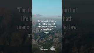 Jesus set us free from death. #bible #life #freedom #bibleverse #truth #scripture #godsword