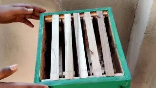 #Then petti | தேனீ பெட்டி. | Tips & Tricks | #Vivasayathin irru karangal