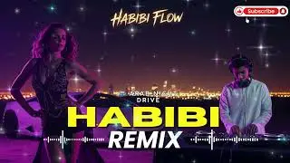 🌴 Arabic Night Flow Remix 2026 | Lyuks Arab Night Drive Remix 🚘🌙