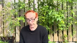 E1393 Fox 🦊 Medicine - animal spirit medicine