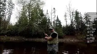 Brook Trout Fishing on Trask Outdoors. Nine Mile River
