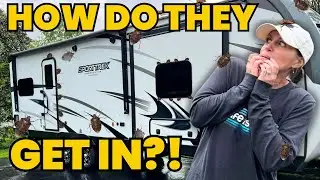 Fighting an Invasion of STINK BUGS IN THE RV while Trying to Pack for a Weekend Trip!