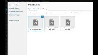 Embed:  How to put audio in