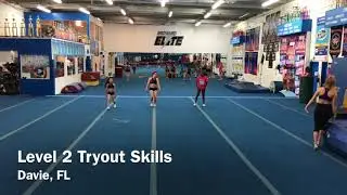 Level 2 Tryout Skills