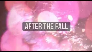 After The Fall by Zero 7 (featuring Lou Stone) - Cover Competition