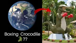 OMG 😳 Boxing🥊Crocodile 🐊 Found On Google Map||Google Map||