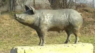 U źr&oacute;deł Wieprza