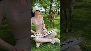 Girl Mesmerises Deer With Piano Song