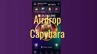 Airdrop Capybara  and how to collect points