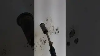 ايزاى اعالج الرطوبه