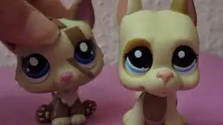 Al Fin- Lps Mv | Misteryhorselps