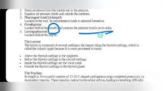 Respiratory system  الصف الأول الثانوي للتمريض 