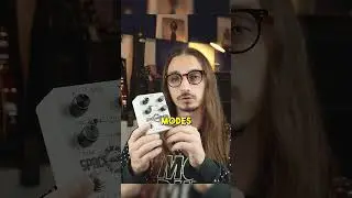 How The Space Muffin Fuzz Pedal Works (Big Muff Based)