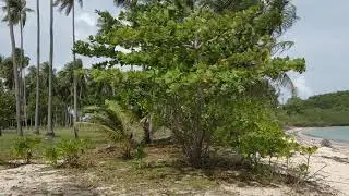 Koh Som - Island in the Golf of Thailand