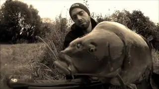 P&ecirc;che &agrave; la carpe _ BEST OF 2016