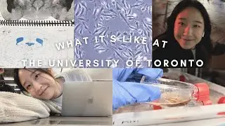 days in my life at the university of toronto: 🧫 life sci student, research, productive study vlog