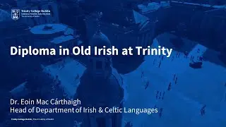 Study Diploma in Old Irish at Trinity