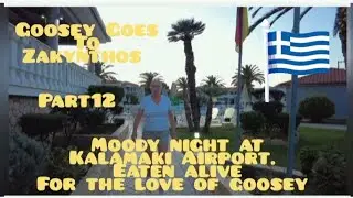 Goosey Goes To Zante  - Part 12 - Moody Night At Kalamaki Airport, For The Love Of Goosey. ❤️