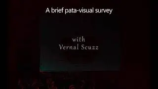 Pata-visual Survey with members of Vernal Scuzz