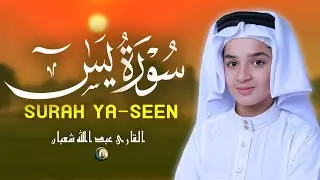 سورة يس (كاملة) ليطمئن قلبك: لراحة نفسية  القارئ عبدالله أحمد شعبان Surah Yasin By Abdullah Shaban