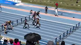 Olympic Development Men&rsquo;s 110m hurdles Tom Jones Invitational 2024 @uflorida | GRANT HOLLOWAY