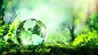 Listening Going Green