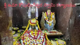 Chalukya era Shri Uma Koppu Lingeswara Swami Temple  kalayanamu PALIVELA - Kothapeta Mandal,  