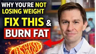 1 Fix This One Thing Inside Your Cells… Fat Loss Becomes Easy