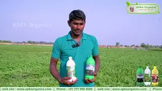 [ Tamil ] Watermelon Online Farmer Mr. Jagan Kumar Shares Honest Feedback on Our Products! 🍉🌿