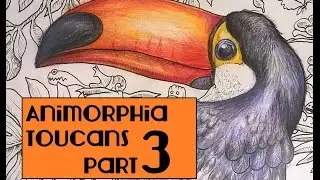 Animorphia Toucans pt3
