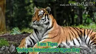 International Tiger's Day, 31st July 2020