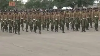 THE BEST AP SiLENT PARADE