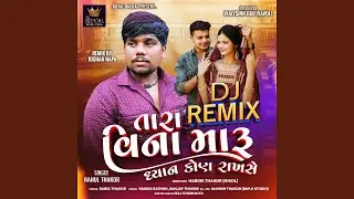 Tara Vina Maru Dhyan Kon Rakhse (DJ Remix)