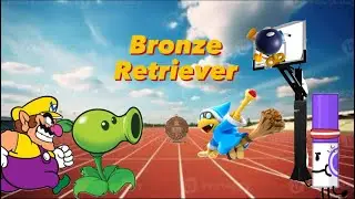 Total Fluffy Fans vs Favorites S6E11: Bronze Retriever