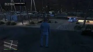 Grand Theft Auto V Small Town, Big Job Trophy