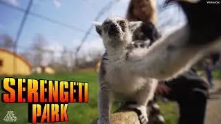 Außergewöhnliche Freizeitpark Attraktionen im Serengeti Park Hodenhagen - Ride Review - 2019