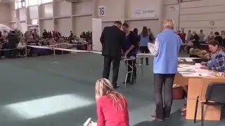 International Dogshow CACIB Bratislava 25.10.2015