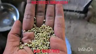 Buckwheat Hulling Machine ( Kuttu , kootu , Titaphapur ) M 09423123023 , 09168920294